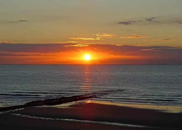 Modern Studio Direct Seaview & Free Parking